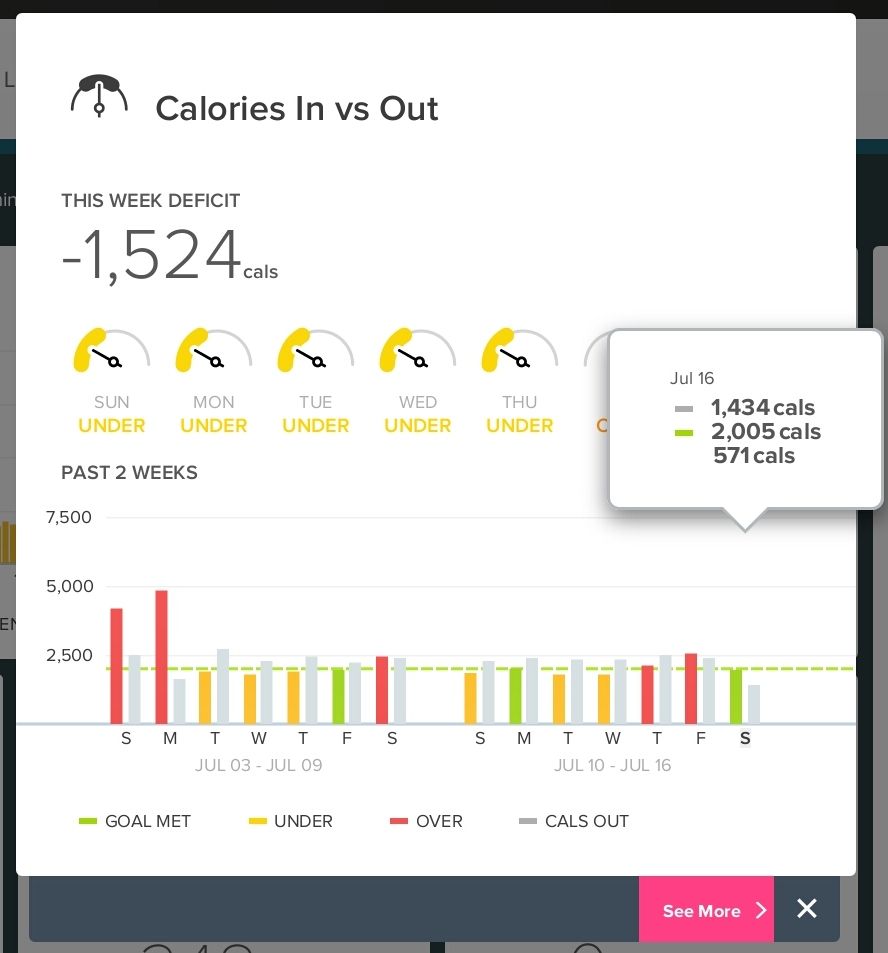 FitBitFuel.jpg