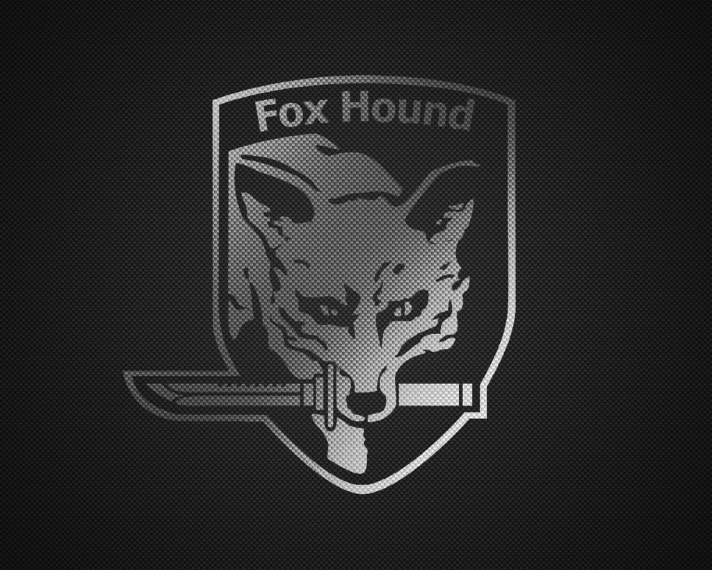 foxhound wallpaper