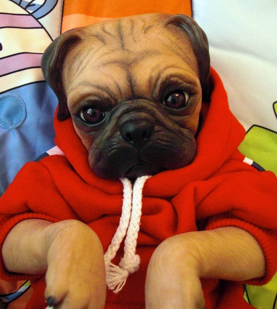 reborn pug ʚϊɞ babygaga reborn pug ʚϊɞ babygaga