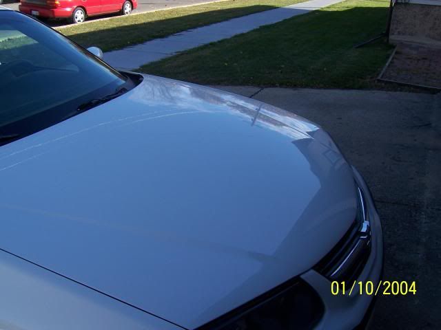 100_0532.jpg