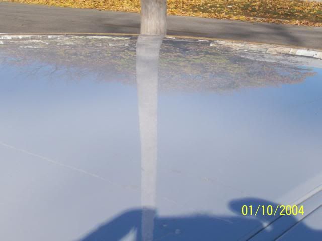 100_0534.jpg