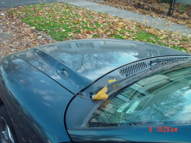 DSC02157.jpg