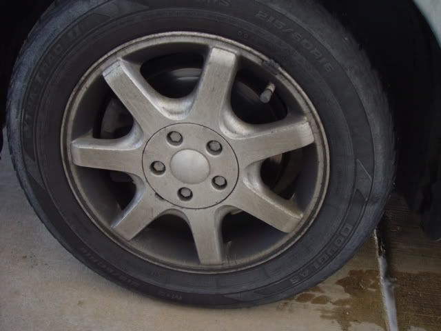 DSC02444.jpg