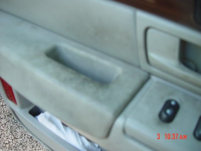 DSC02571.jpg