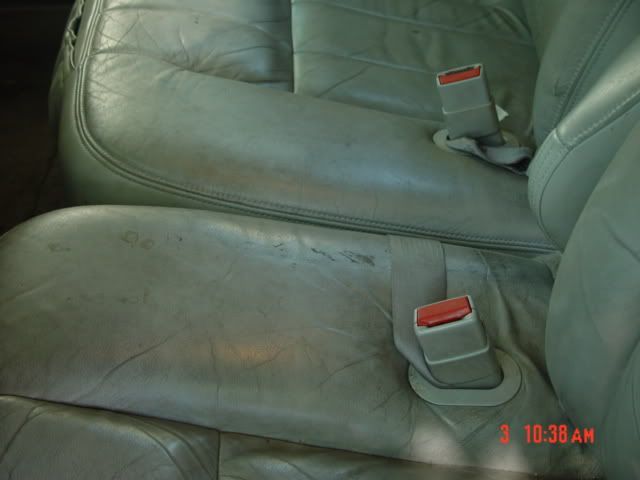 DSC02574.jpg