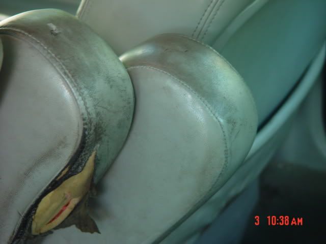 DSC02577.jpg