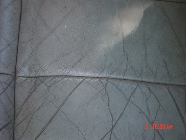 DSC02579.jpg