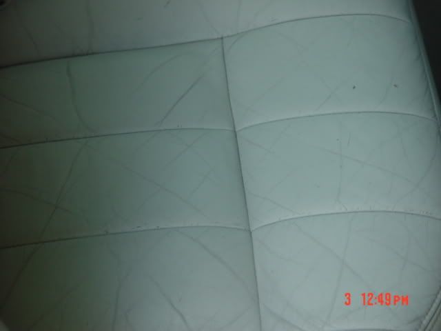 DSC02586.jpg