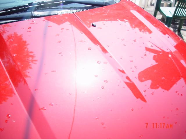 DSC02604.jpg