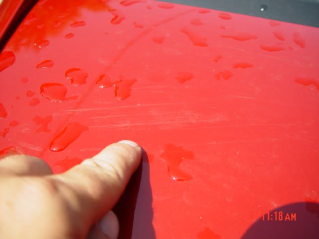 DSC02610.jpg