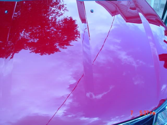 DSC02646.jpg