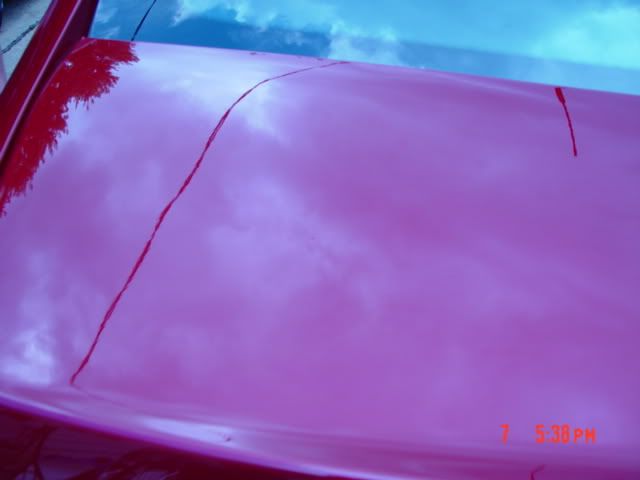 DSC02649.jpg