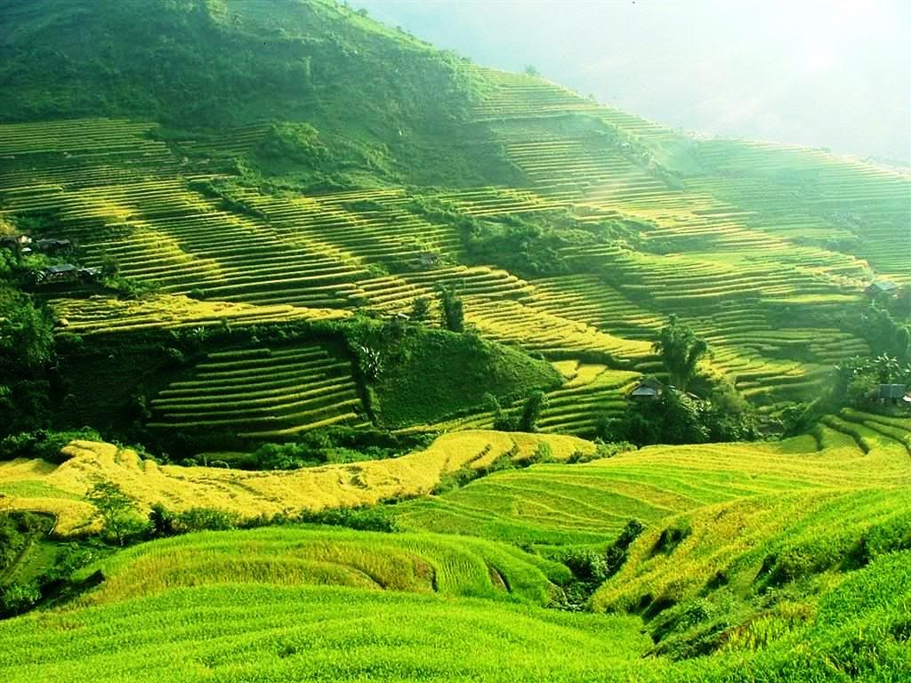 Du lịch mùa xuân tại Lào Cai. Du lịch mùa xuân tại Lào Cai.