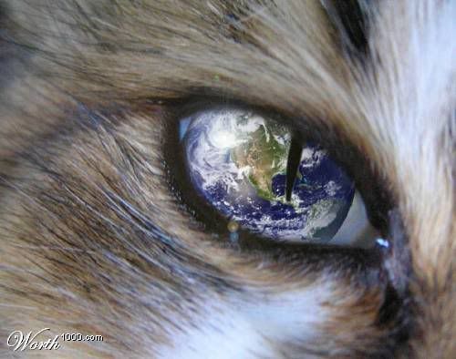 Gz Resimleri (2. Katalog)