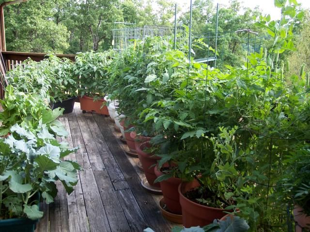 May 20, 2014 photo 100_1282.jpg