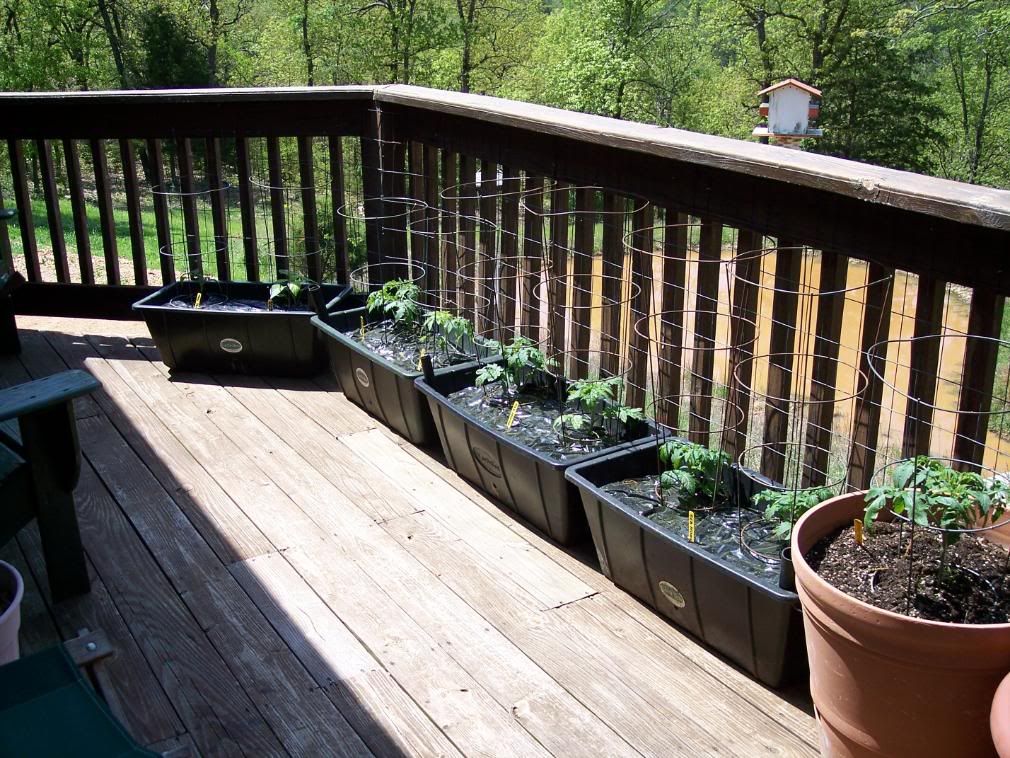  photo June2008016.jpg