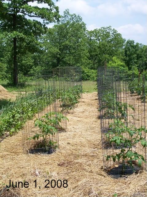  photo June2008034.jpg