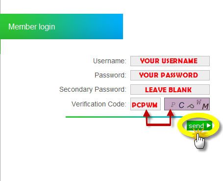 Step 4, Enter login detail