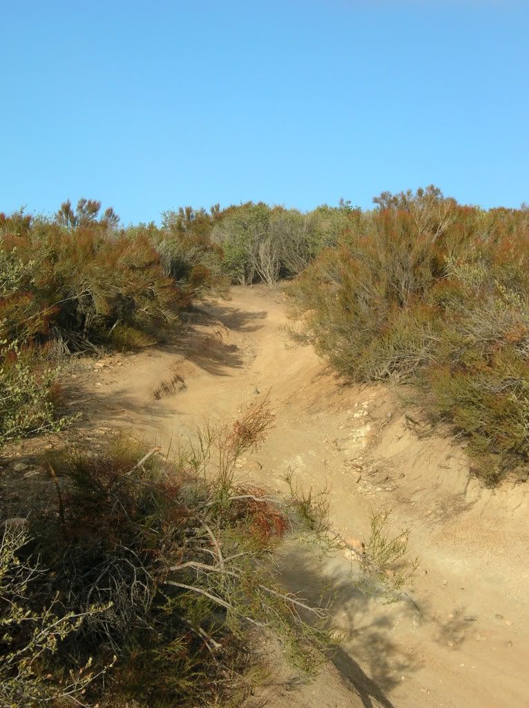 Image may have been reduced in size. Click image to view fullscreen.