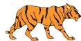 Moving Tiger