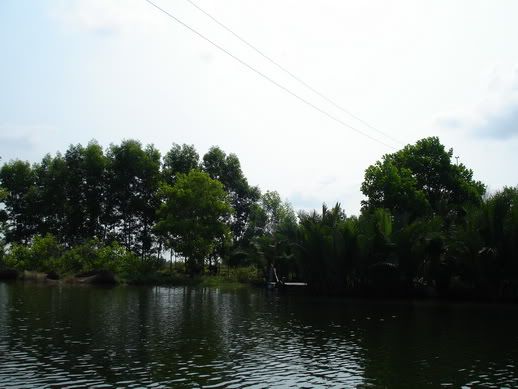 Đảo dừa lửa   ???