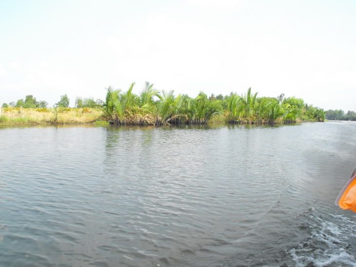 Đảo dừa lửa   ??? - 6