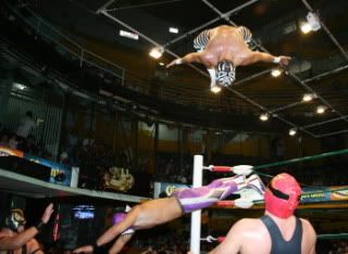 watch out for flying Sombras/CMLL