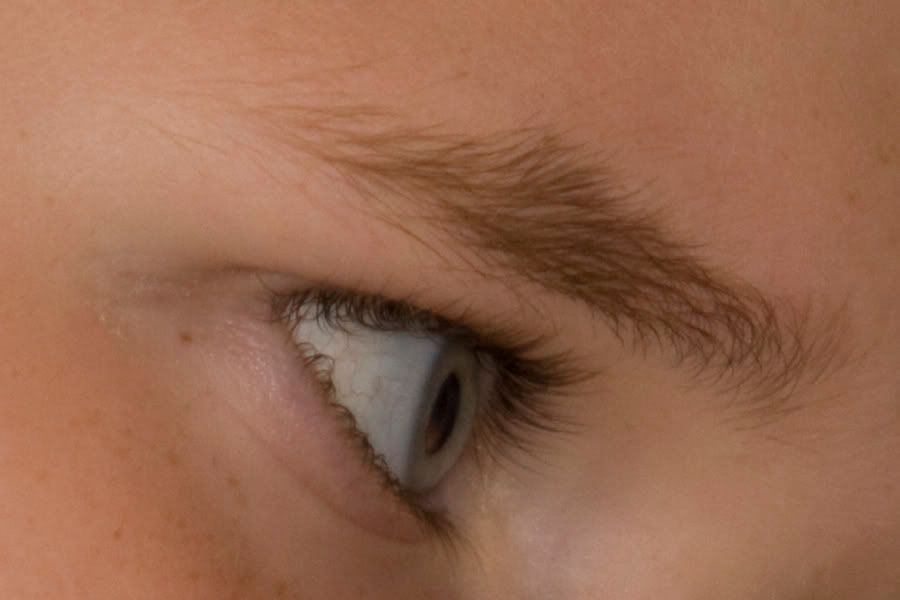 IMAGE: http://i198.photobucket.com/albums/aa182/jlandryphotography/IMG_4473crop.jpg