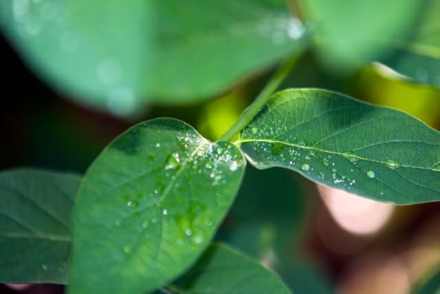 IMAGE: http://i198.photobucket.com/albums/aa182/jlandryphotography/test2.jpg