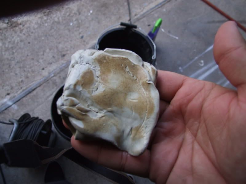 DSCF4653.jpg