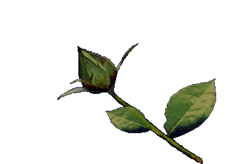 630zepx.gif