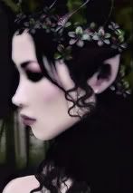 [avatar]