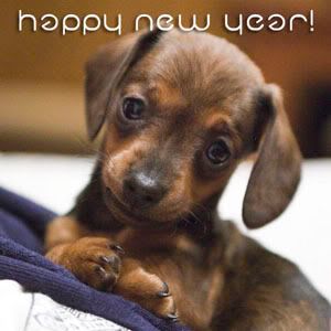 happy new year Pictures, Images and Photos