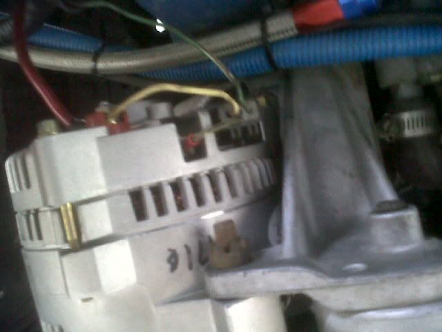 IMG00100-20100731-1228.jpg