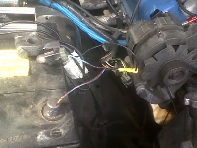 IMG00235-20100901-1534.jpg