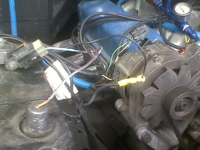 IMG00237-20100901-1540.jpg