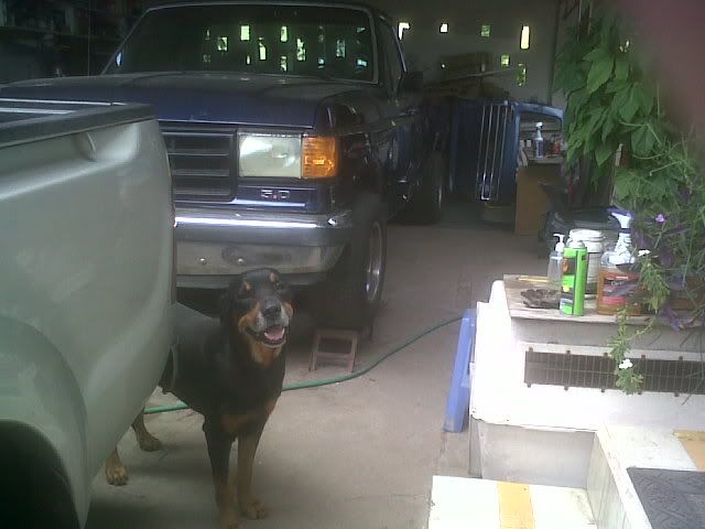 IMG00364-20101016-1253.jpg