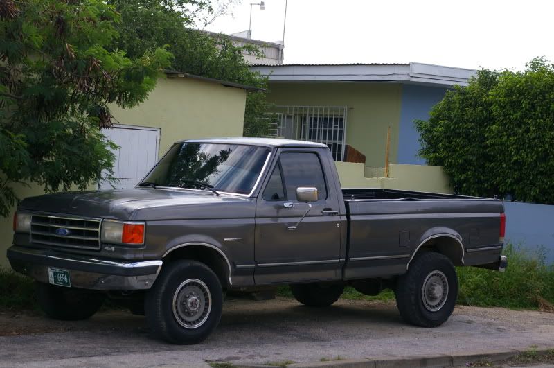 IMGP0003.jpg