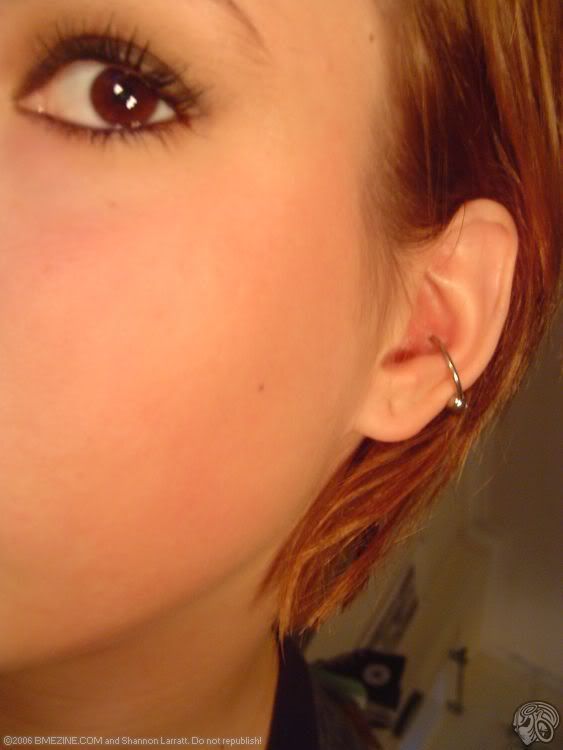 conch Piercing Image