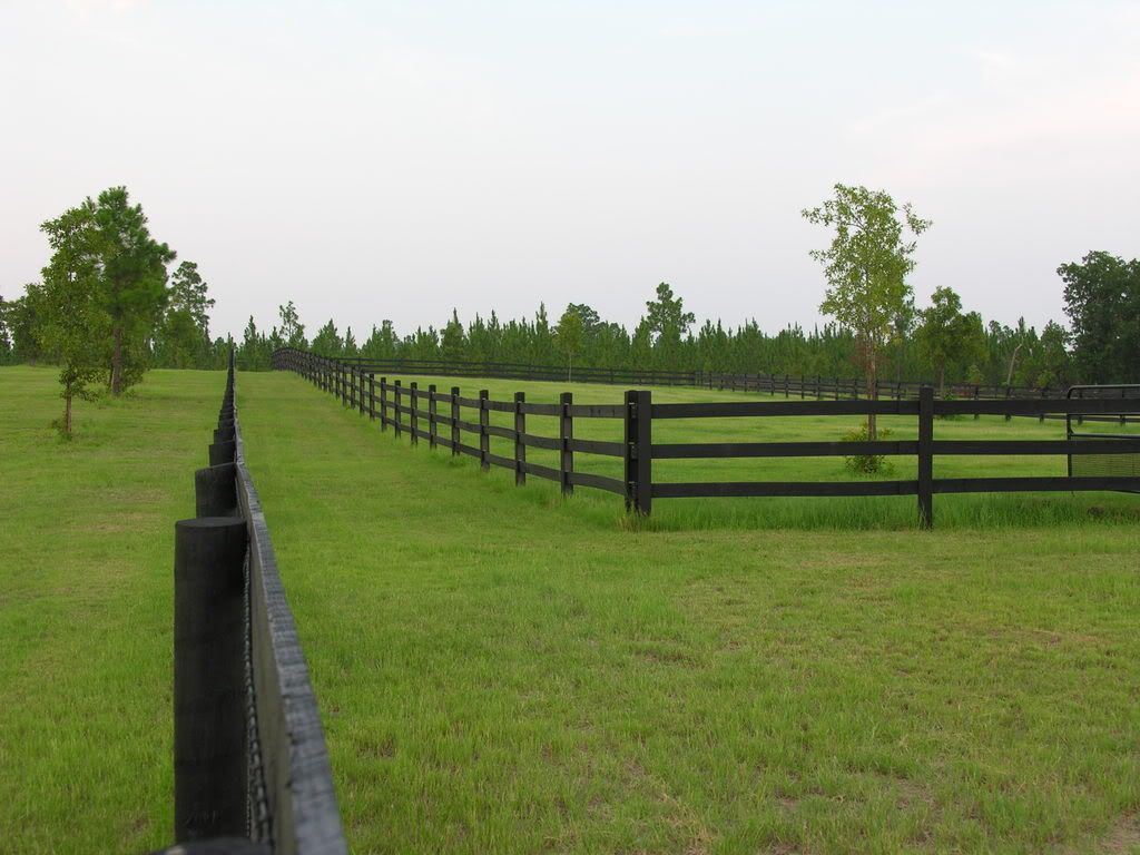 grass and horse fencing