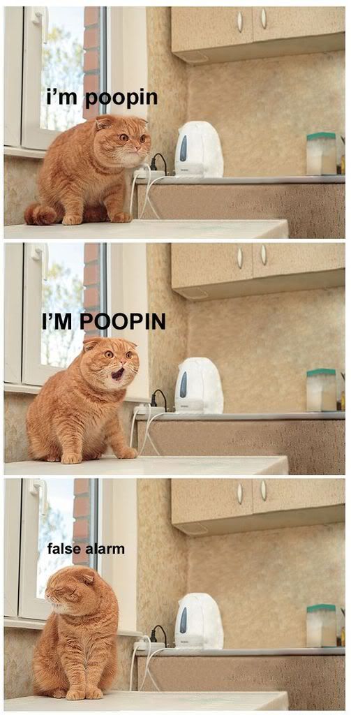 poopin.jpg