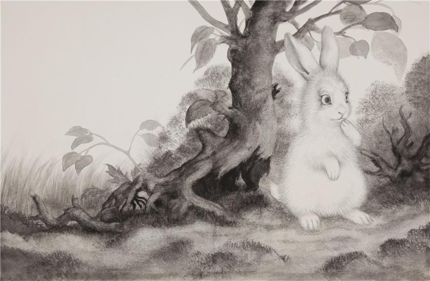  photo bad3b0e8fa18t_zpsb1f382f9.jpg