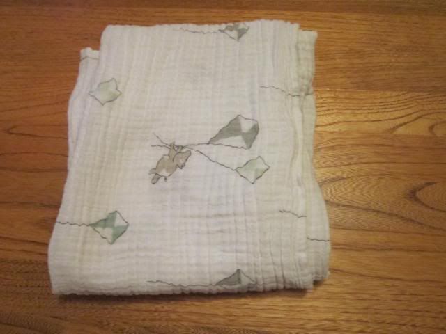Aden + Anais Swaddle Blanket $10 ppd Aden + Anais Swaddle Blanket $10 ppd