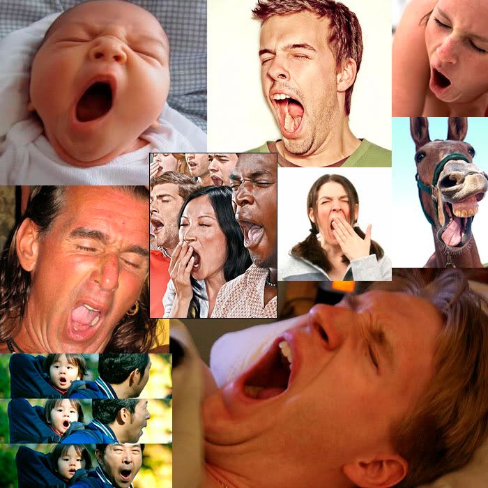 yawwwn-1.jpg