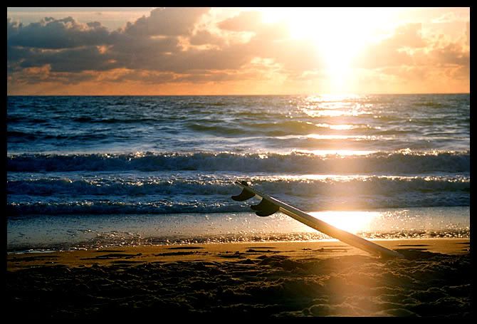 surfboard sunset Pictures, Images and Photos