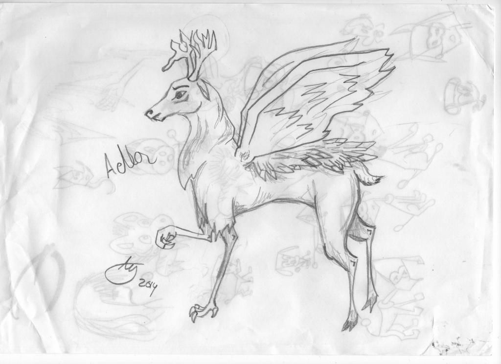 Kuva