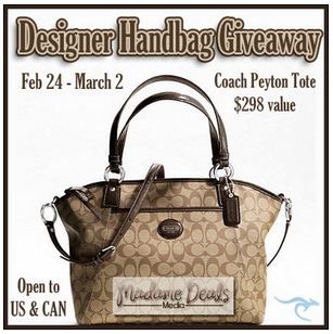 photo DesignerPurseWeek5_zps3f113347.jpg