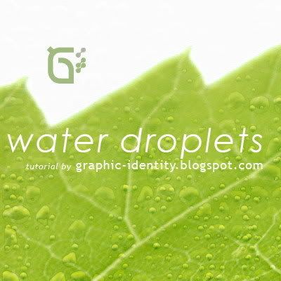How to Create Water Droplets in Photoshop