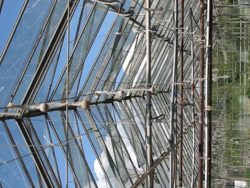 glass house roof