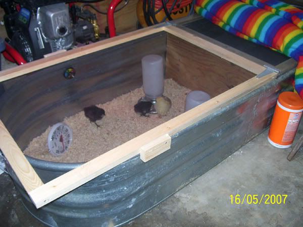 http://i198.photobucket.com/albums/aa291/Jesssto/brooder.jpg